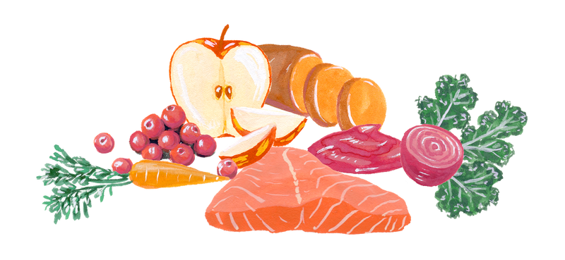 Nutrient packed superfoods plus pre & probiotics