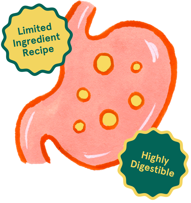Natural, highly digestible, limited ingredient recipe