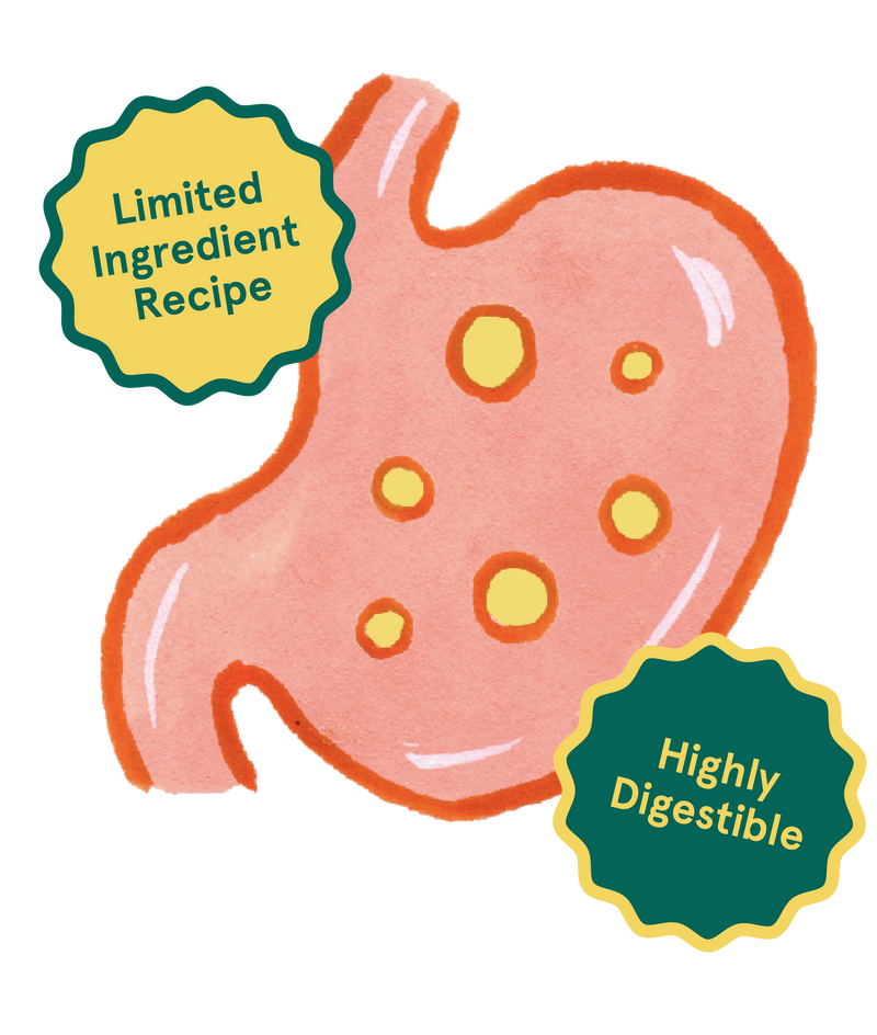 Natural, highly digestible, limited ingredient recipe